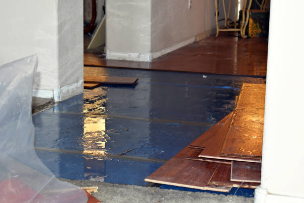 Professional Basement Water Removal technician working in Docena, AL